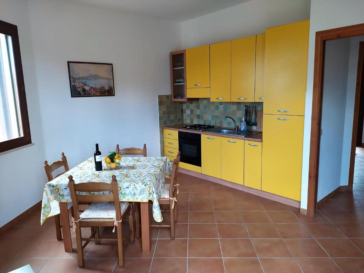 Due Pini Apartment Scopello  Room photo